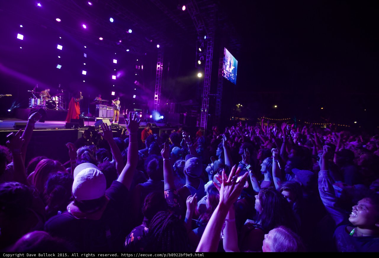 FYF Fest Wide Crowd Stage Solange Red Dress Guitarist Smiling Fans Purple