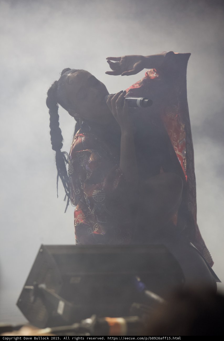 FKA twigs Silhouette Head Tilted Back Arm Raised Expressive Hand Red Brocade Kimono Long Braided Ponytails Heavy Backlit Haze