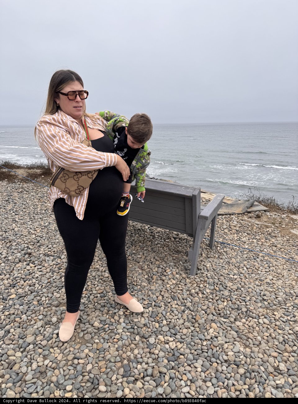 Coastal Moments in Moss Beach