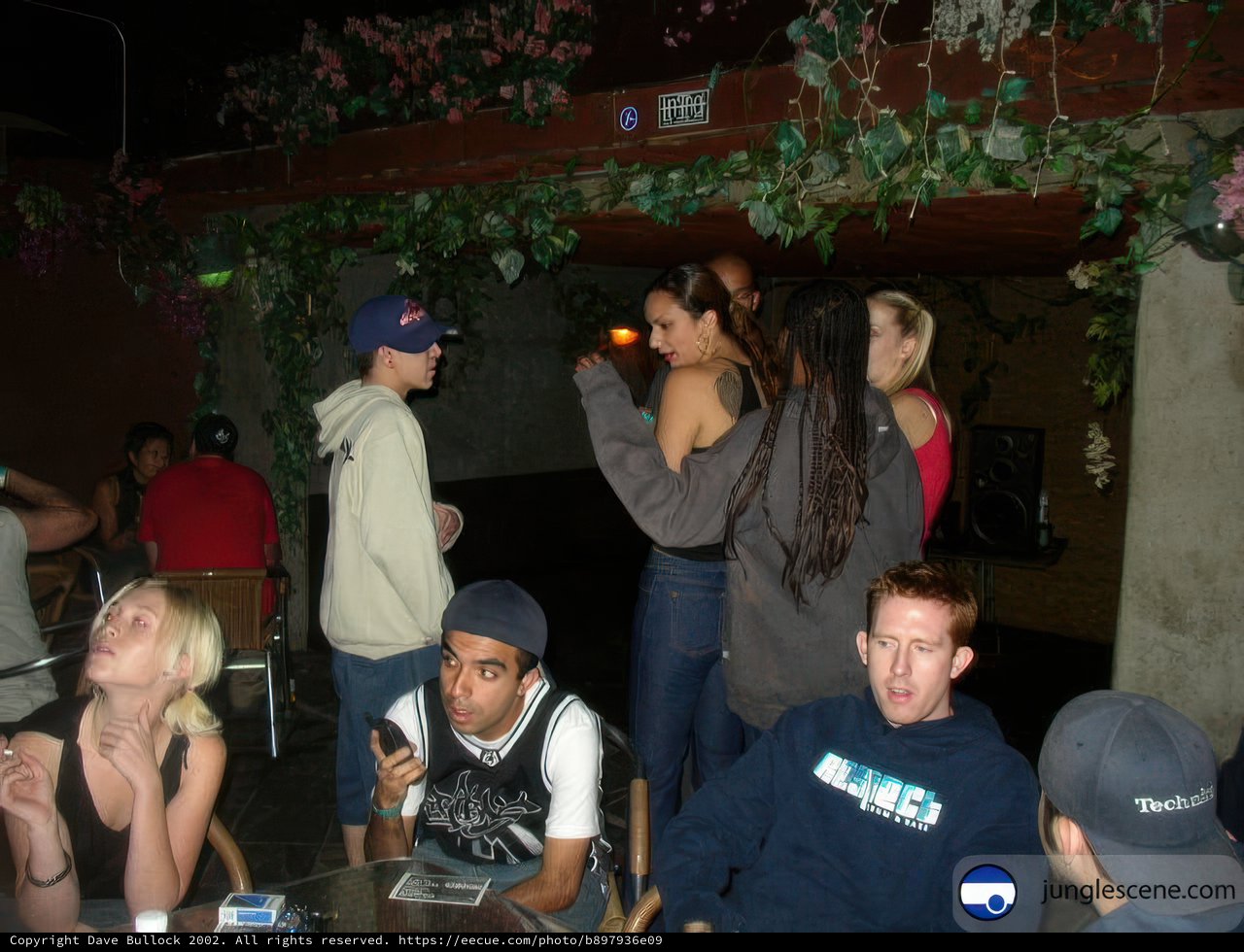 Nightclub Gathering