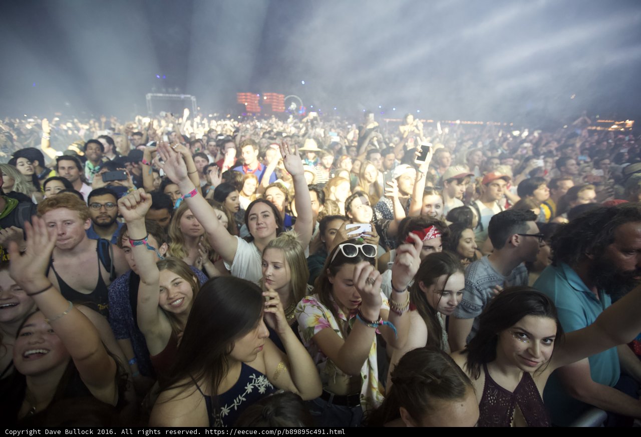 The Electric Vibe at Coachella