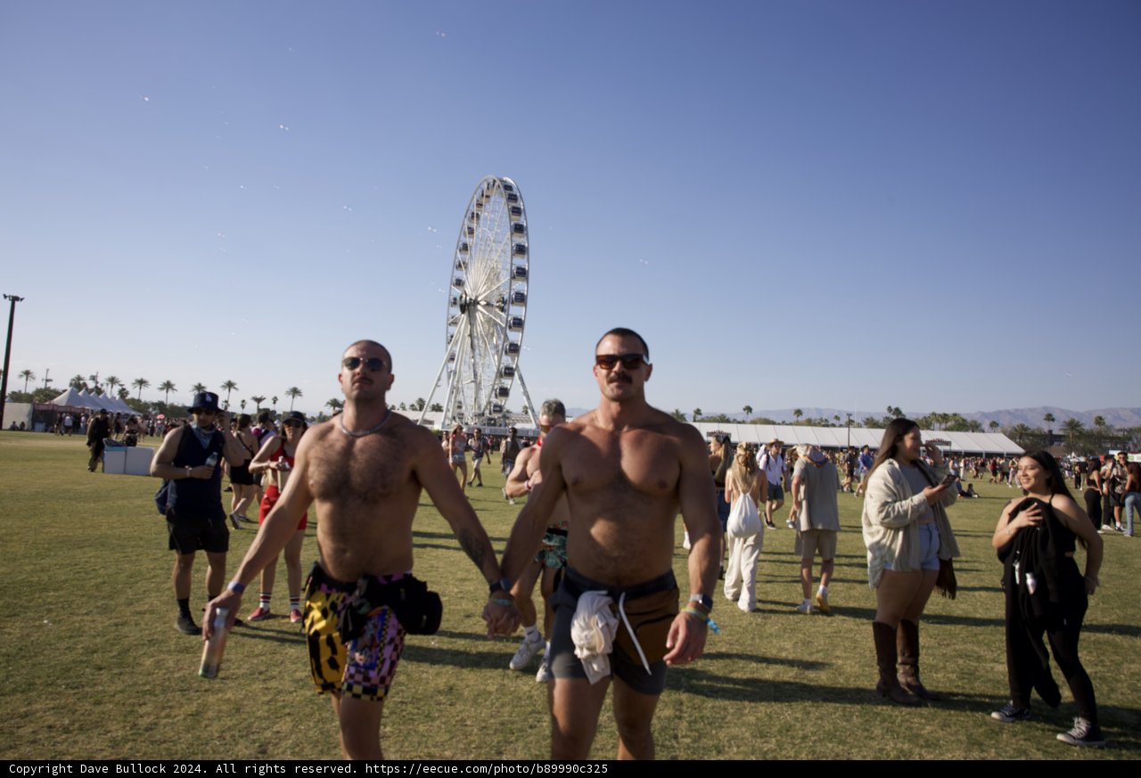 Festival Vibes: Sunshine and Spontaneity