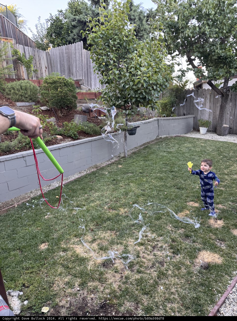 Backyard Bubble Joy