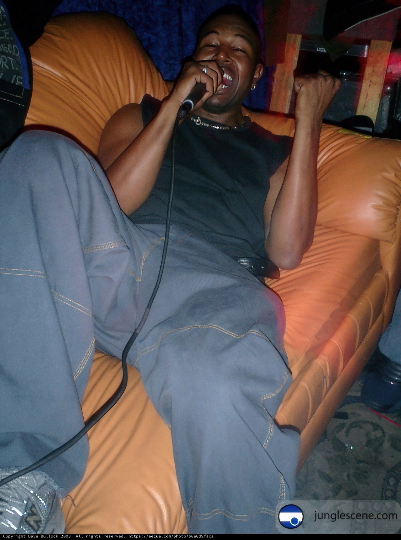 The Karaoke Crooner