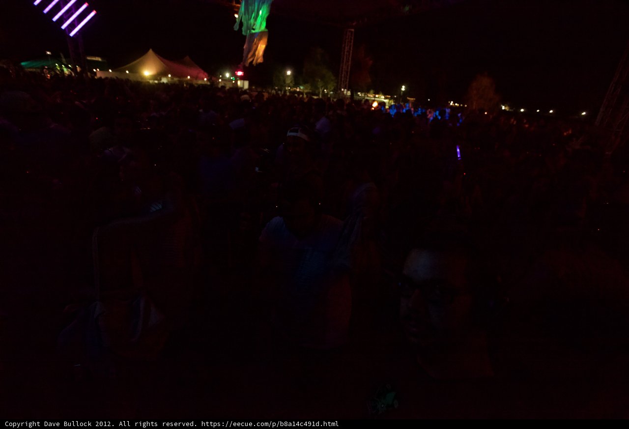 Nighttime Crowd Rocking Out at Coachella