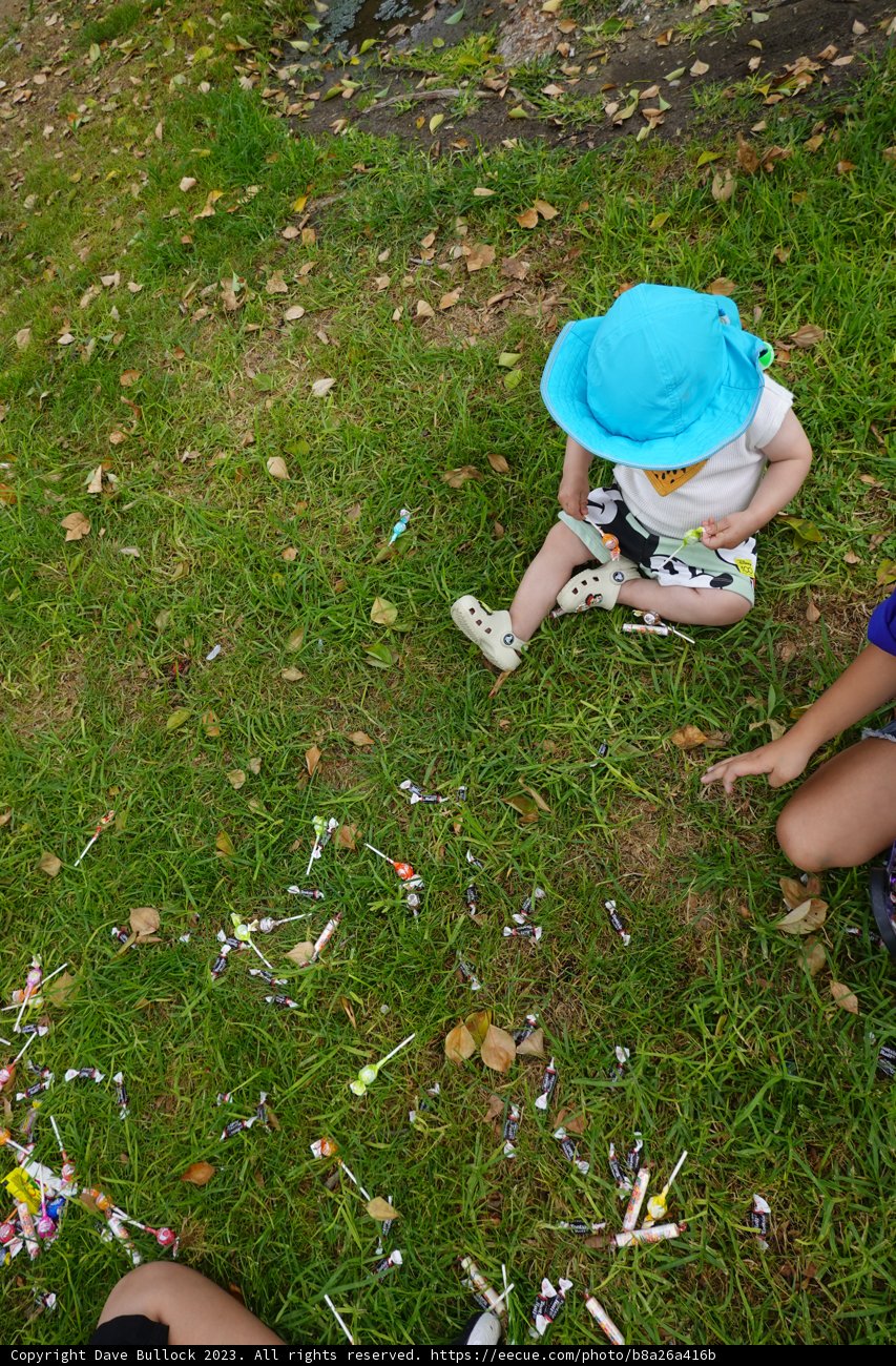 Gleeful Children: A Confetti Adventure