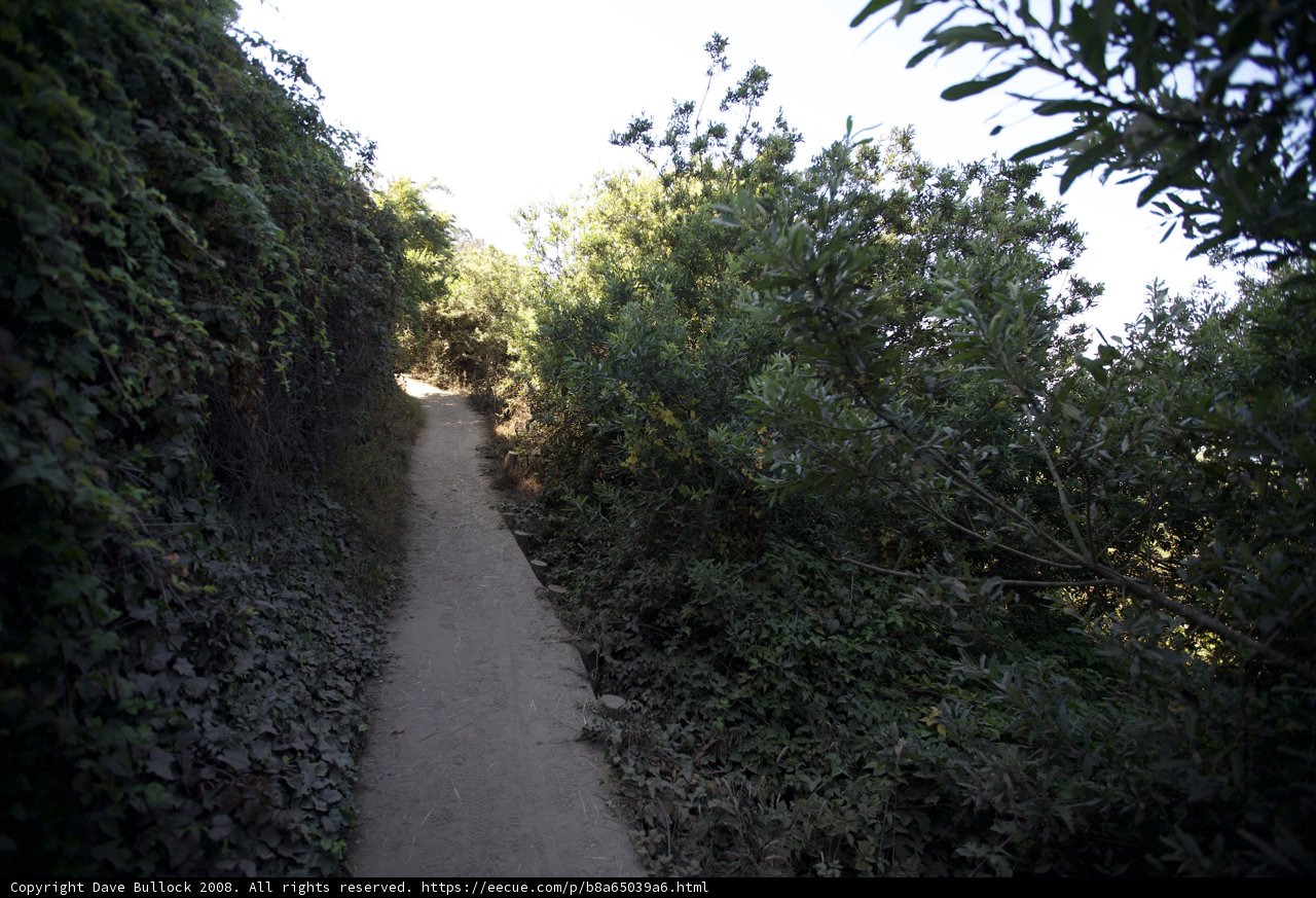 A Picturesque Garden Path