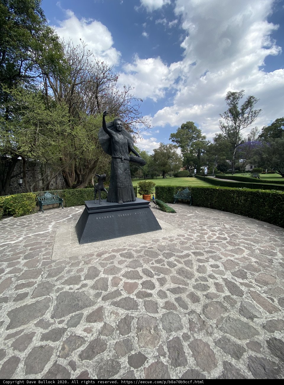 Man in the Park
