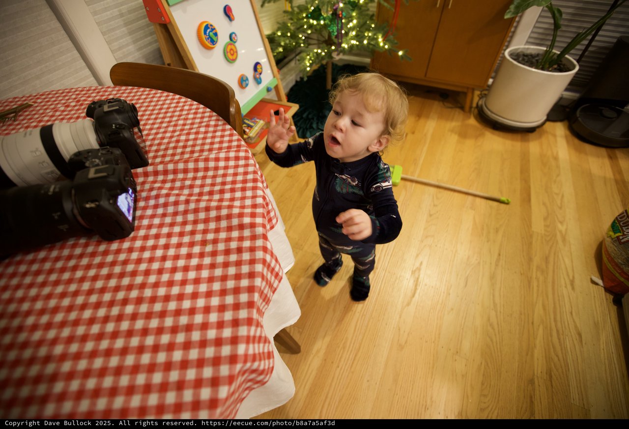 Toddler's Curious Christmas Morning Discovery