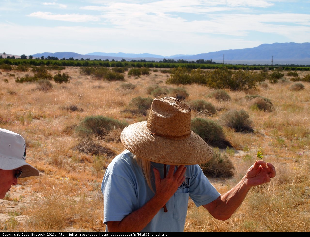 Man with Two Hats