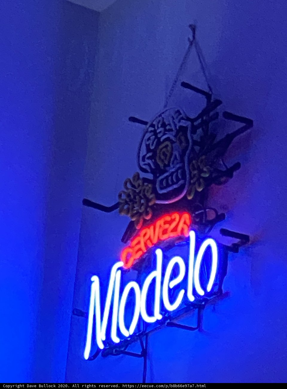 Modelo Neon Sign Lights up San Francisco Night Sky