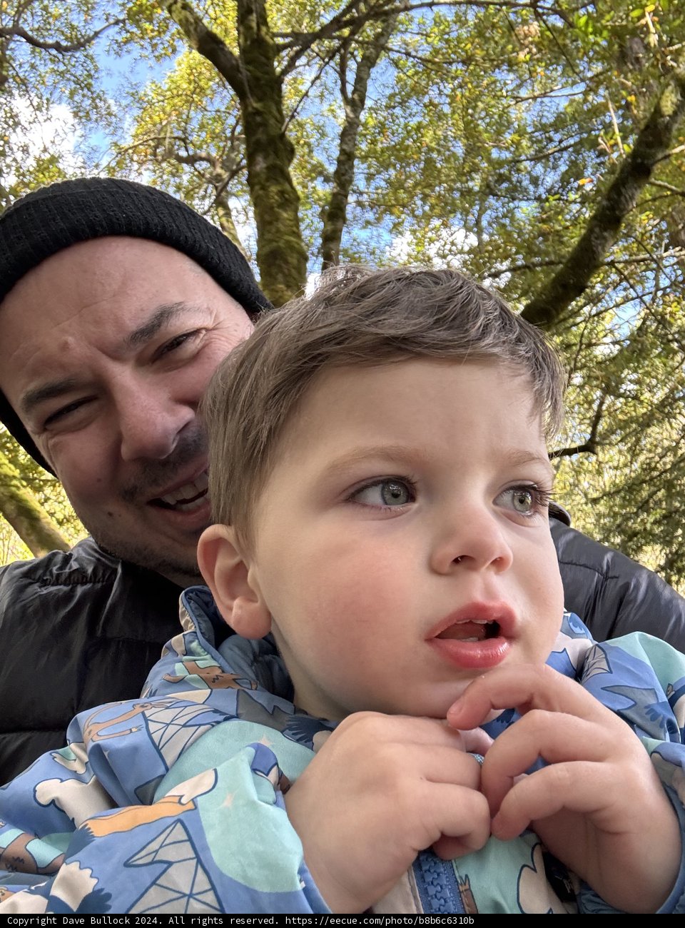 Forest Adventures with Wesley