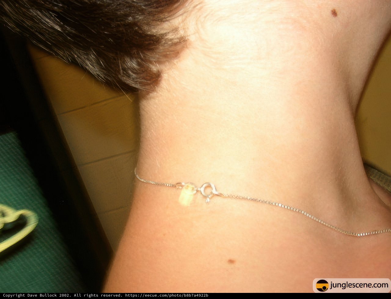 Heart on Her Neck