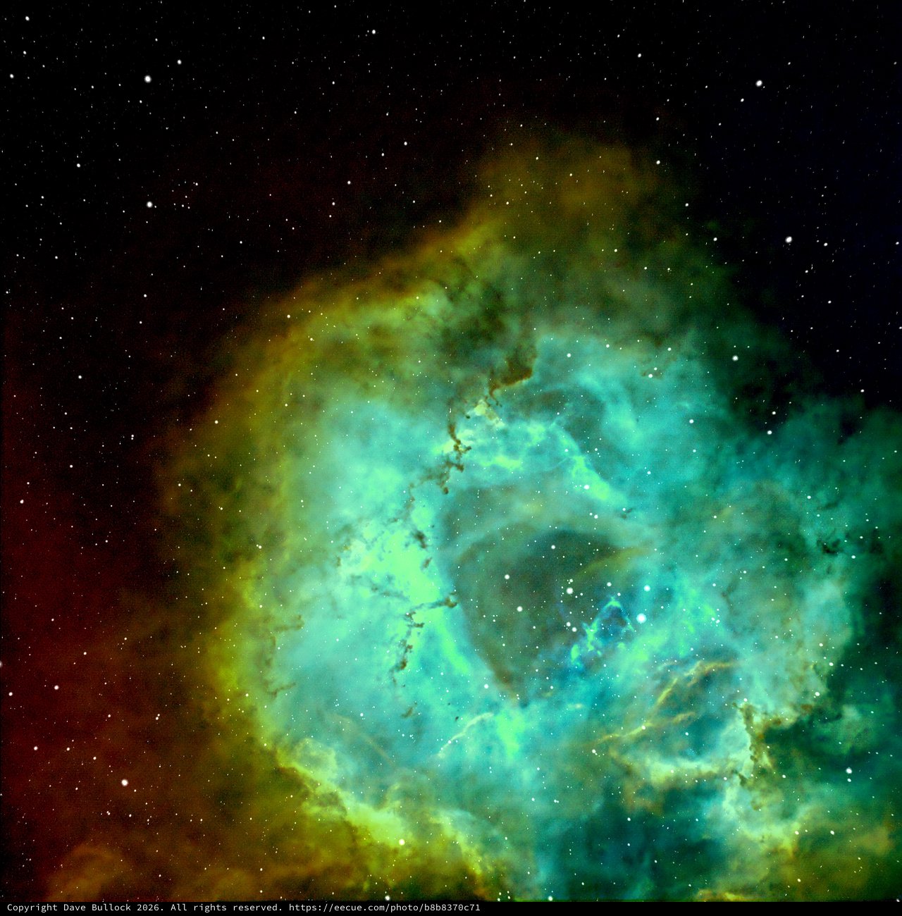 Rosette Nebula: Cosmic Flower in Hydrogen and Oxygen