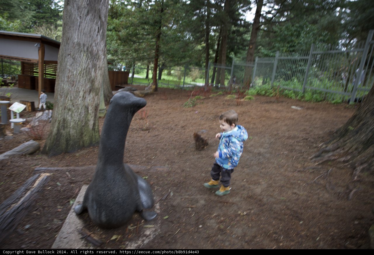 A Boy's Adventure in The Groves of Science