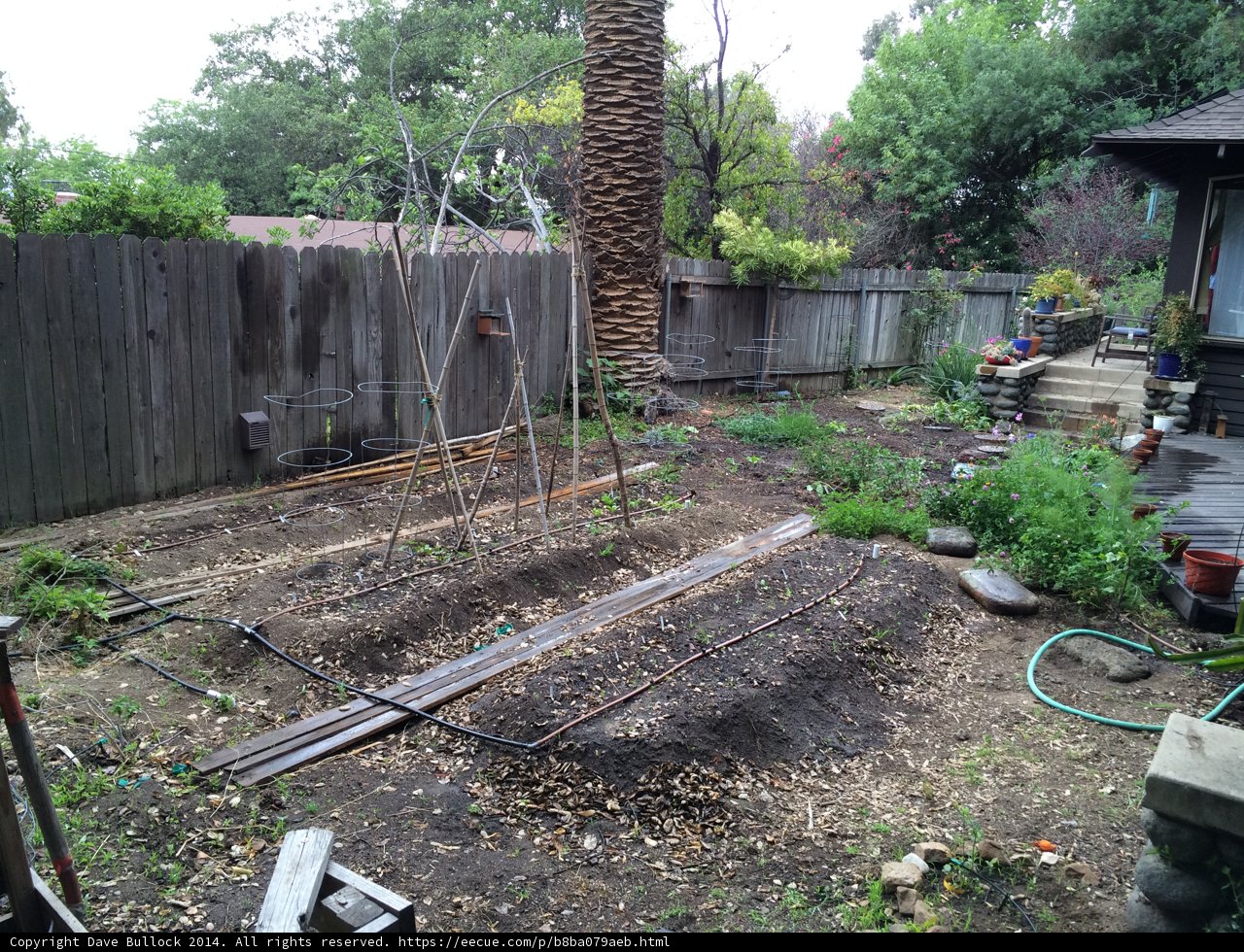 A Serene Oasis in Altadena