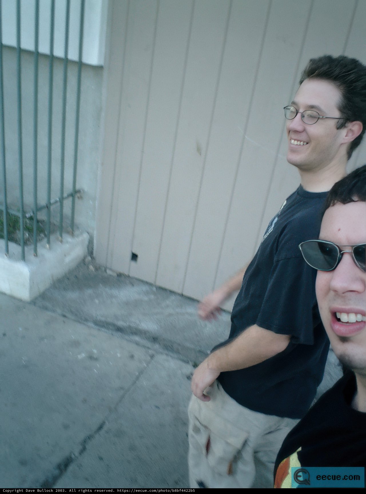 Two Friends by the Fence