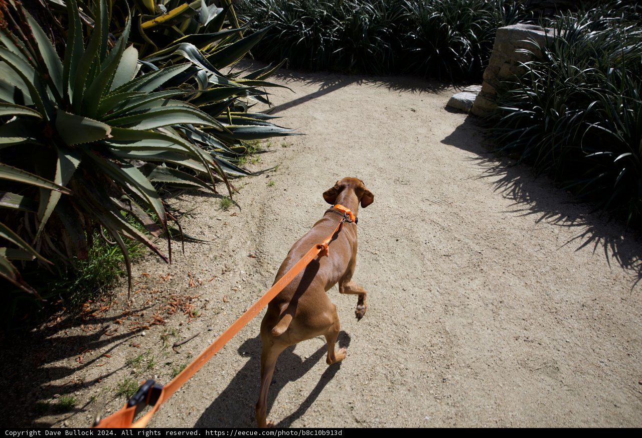 A Stroll Down Monterey: Hi-Li's 2024 Adventure