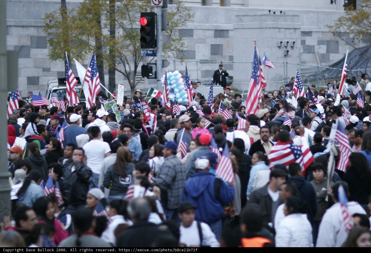 Patriotic Crowd