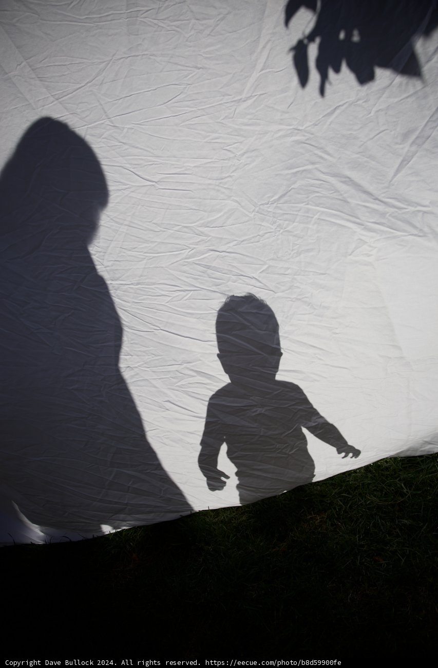 Silhouetted Beginnings