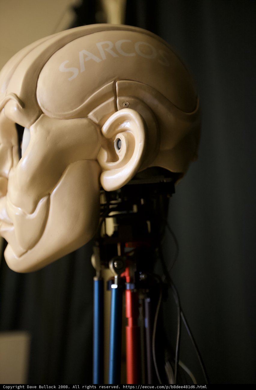 The Camera-Headed Human Model