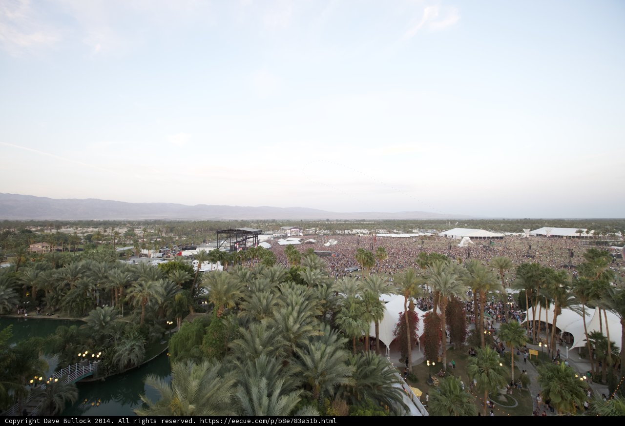 Palms and People at Coachella