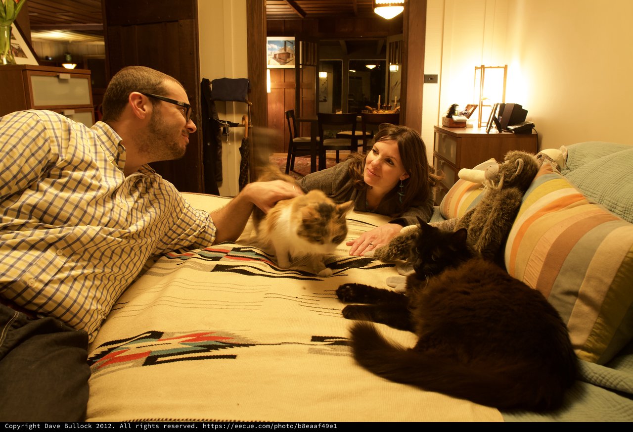 Couple Relaxing on Bed with Three Cats