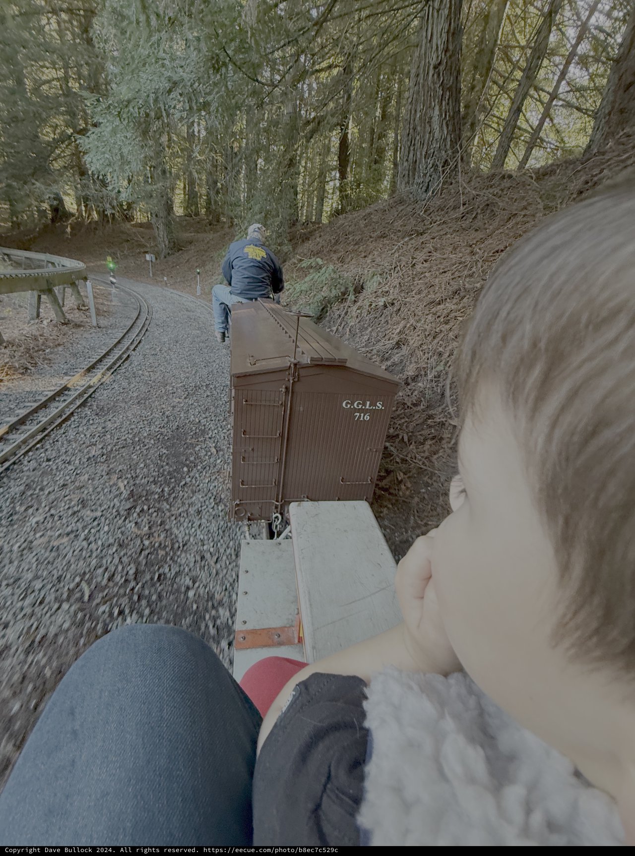 Riding the Rails Through Forest Wilderness