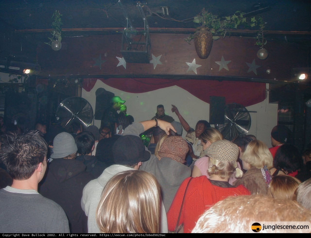 Nightclub Performance with Crowd and Spotlight