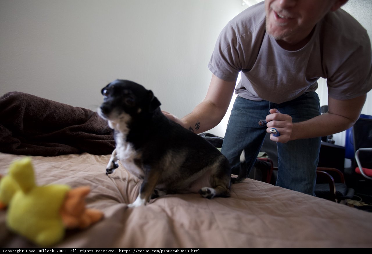 Man and his loyal pup take a nap