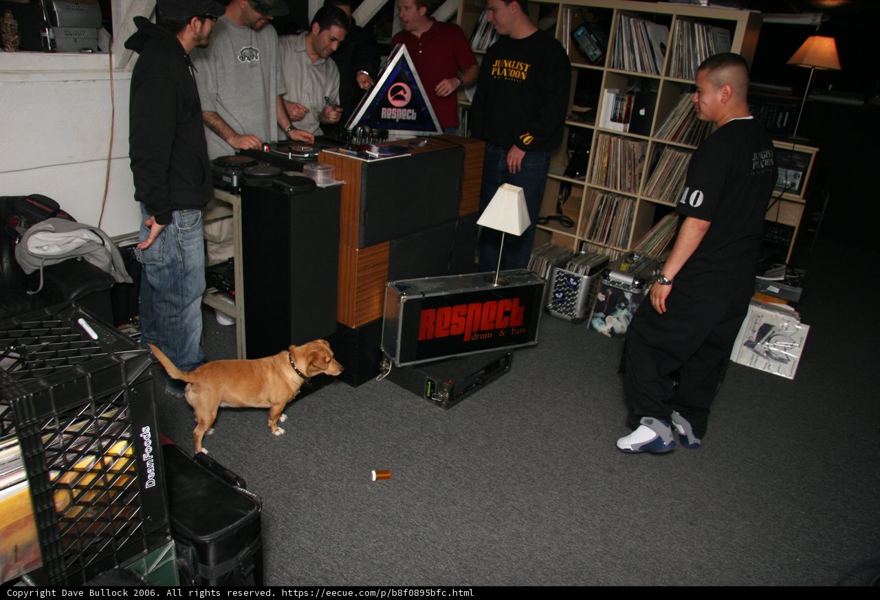 Man, Woman, and Dog in the Living Room