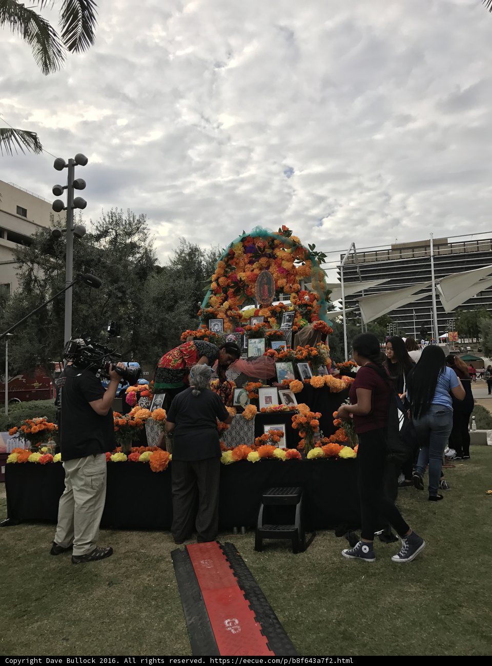 Grand Pumpkin Display