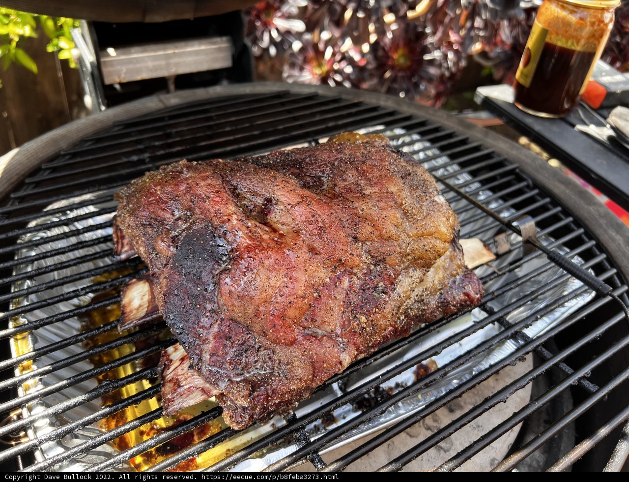 Sizzling BBQ Spareribs on the Grill