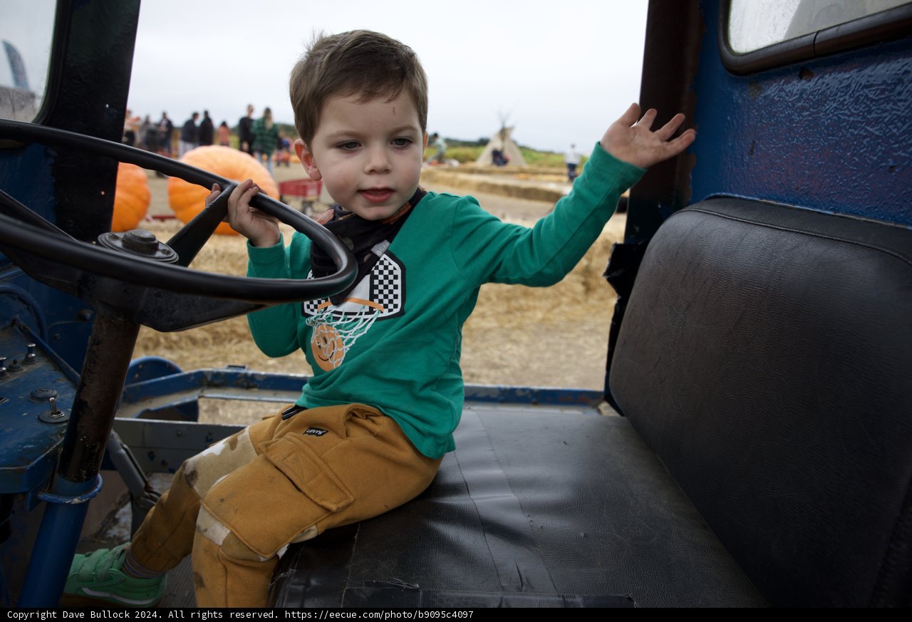 Little Driver's Adventure