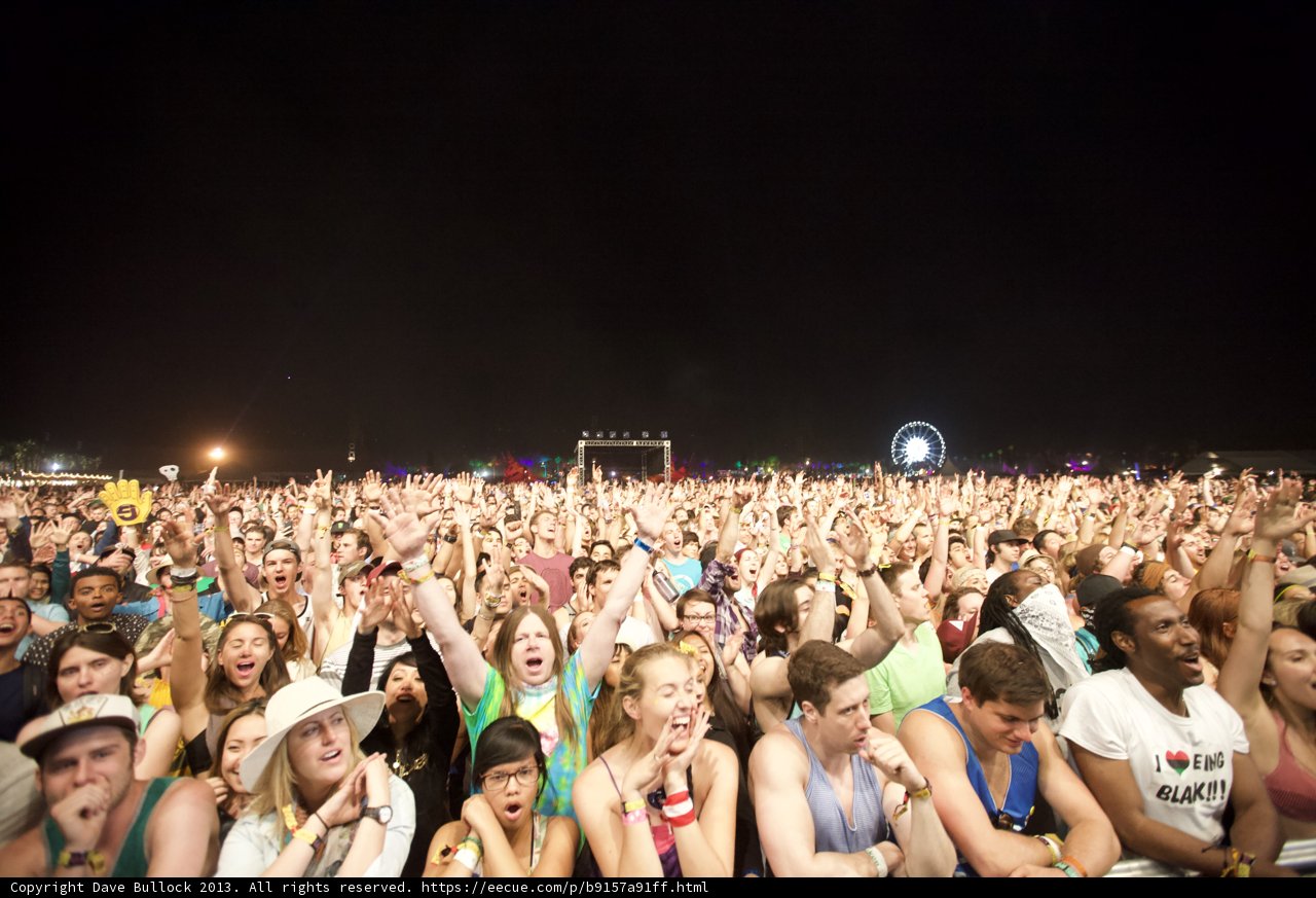 Music Festival Madness