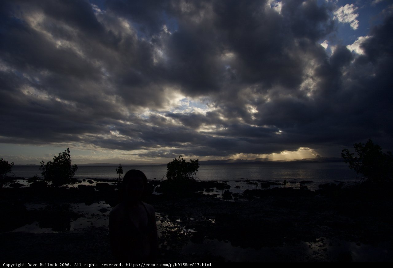 Silhouette against the Cumulus Sky