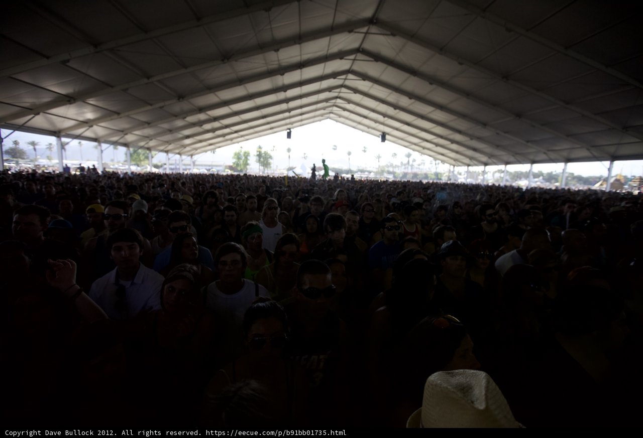 Concert Chaos: A Sea of People at Coachella 2012