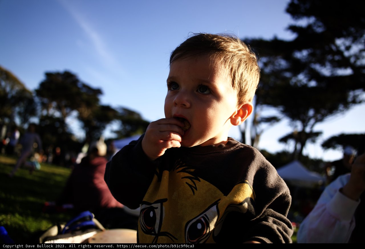Sweet Moments: A Biscuit Break in Blue Sky Park