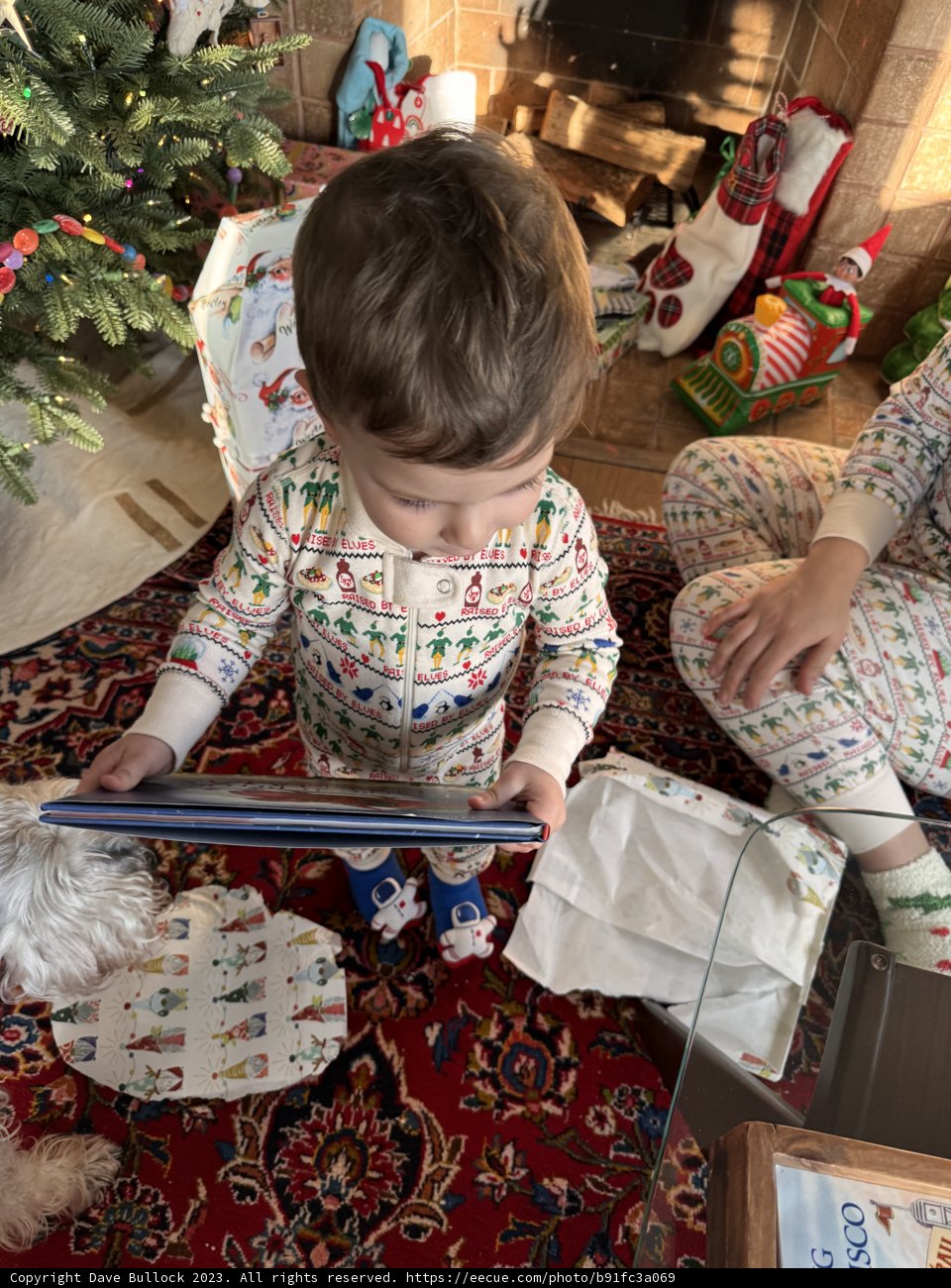 Christmas Morning Excitement