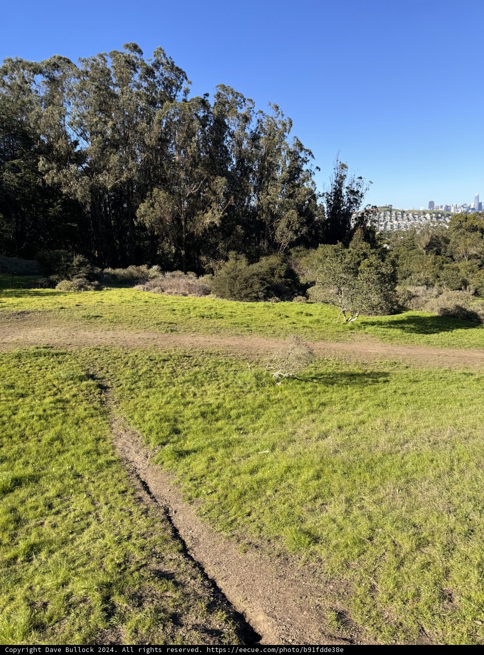 Journey through Nature's Palette