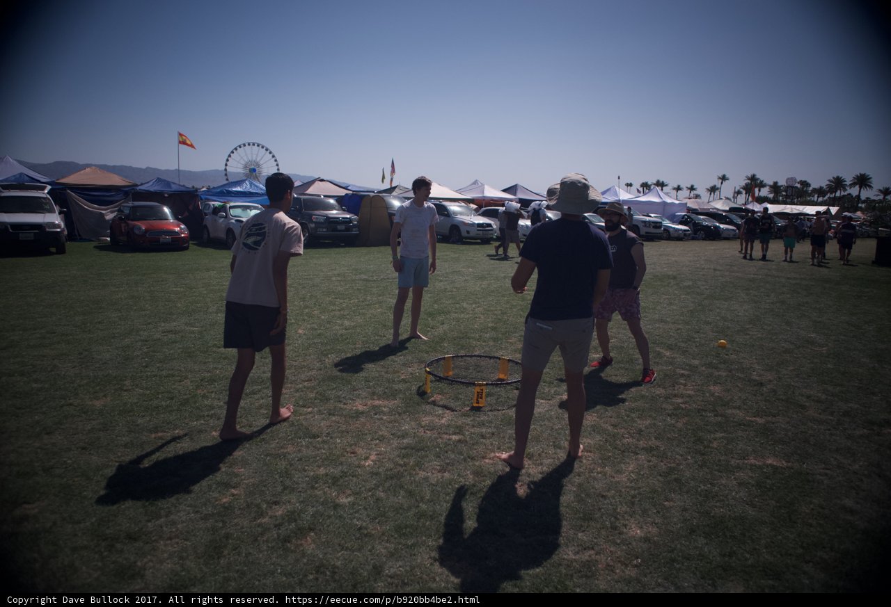 Frisbee Fun in the Sun