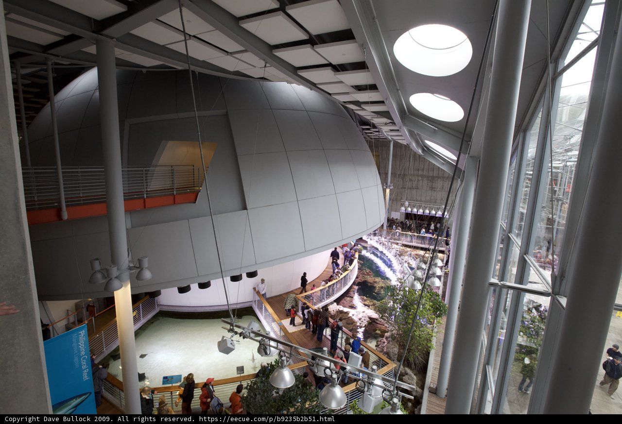 The Planetarium Dome