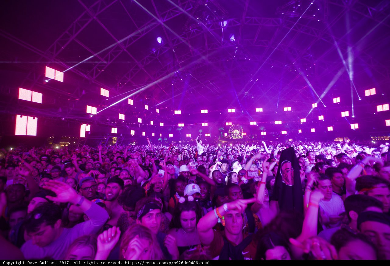Purple Haze