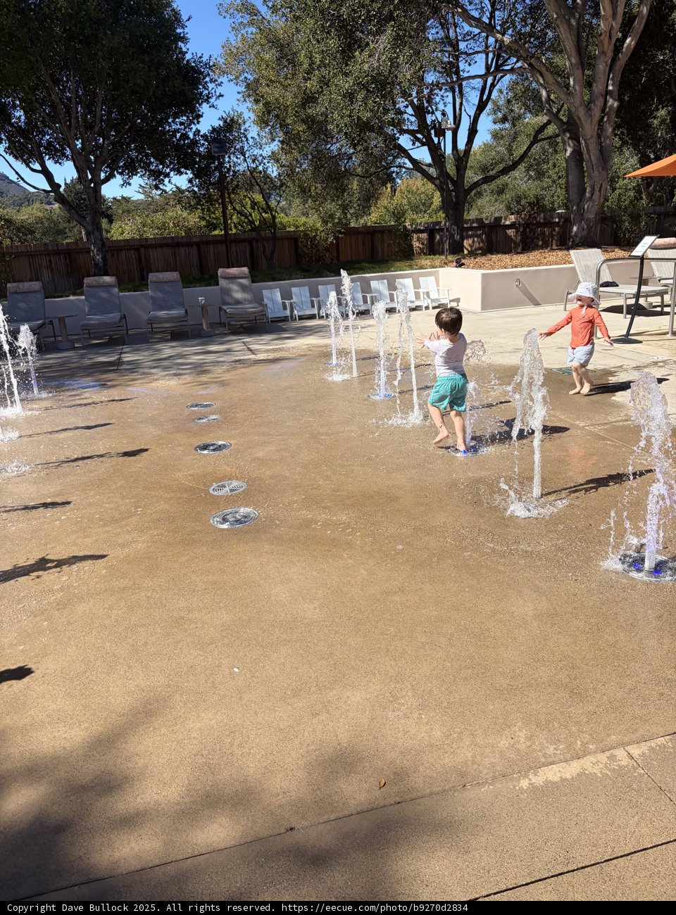 Splashes of Joy in Carmel