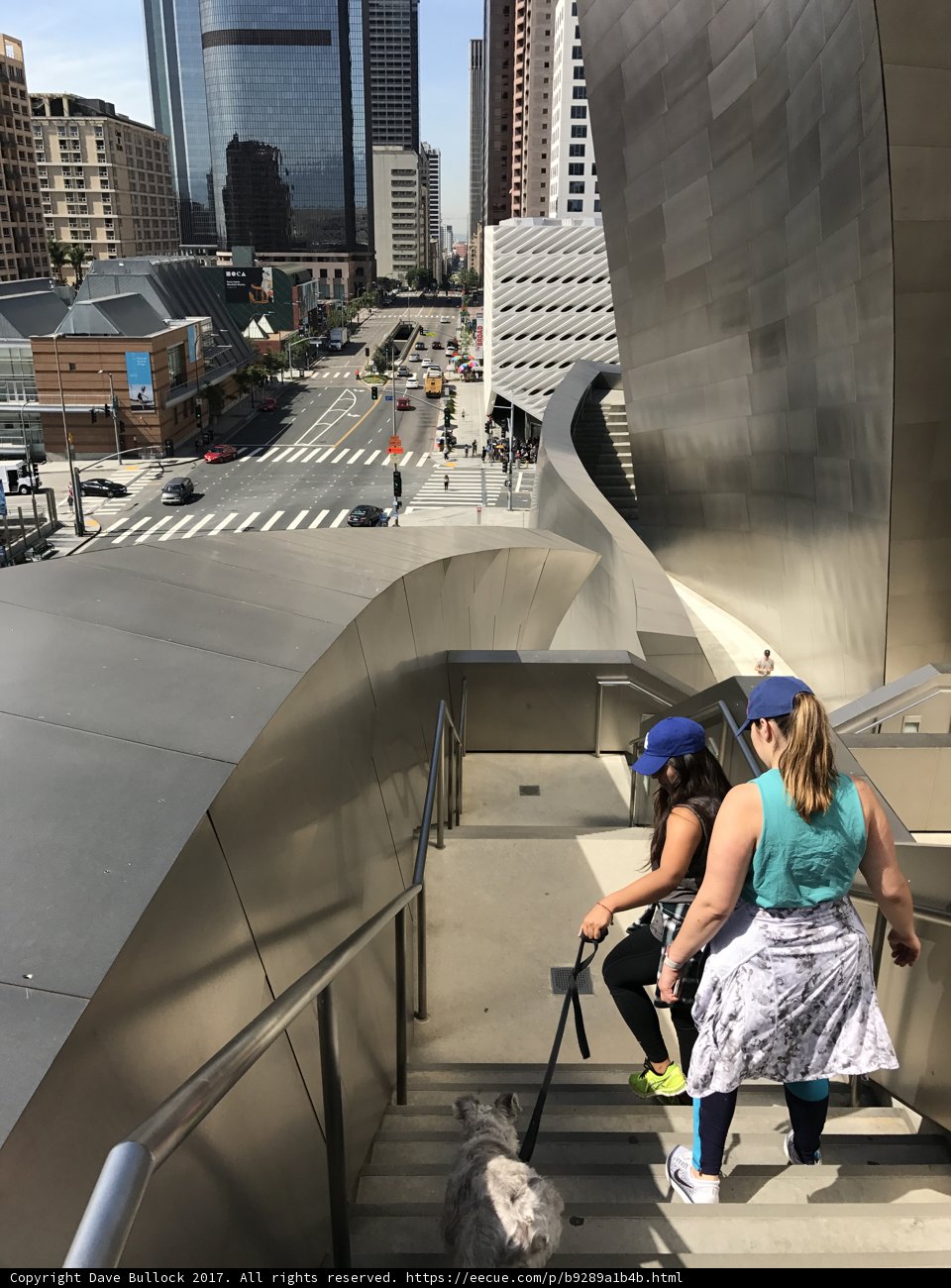 Ascending the Steps of the Walt Disney Concert Hall