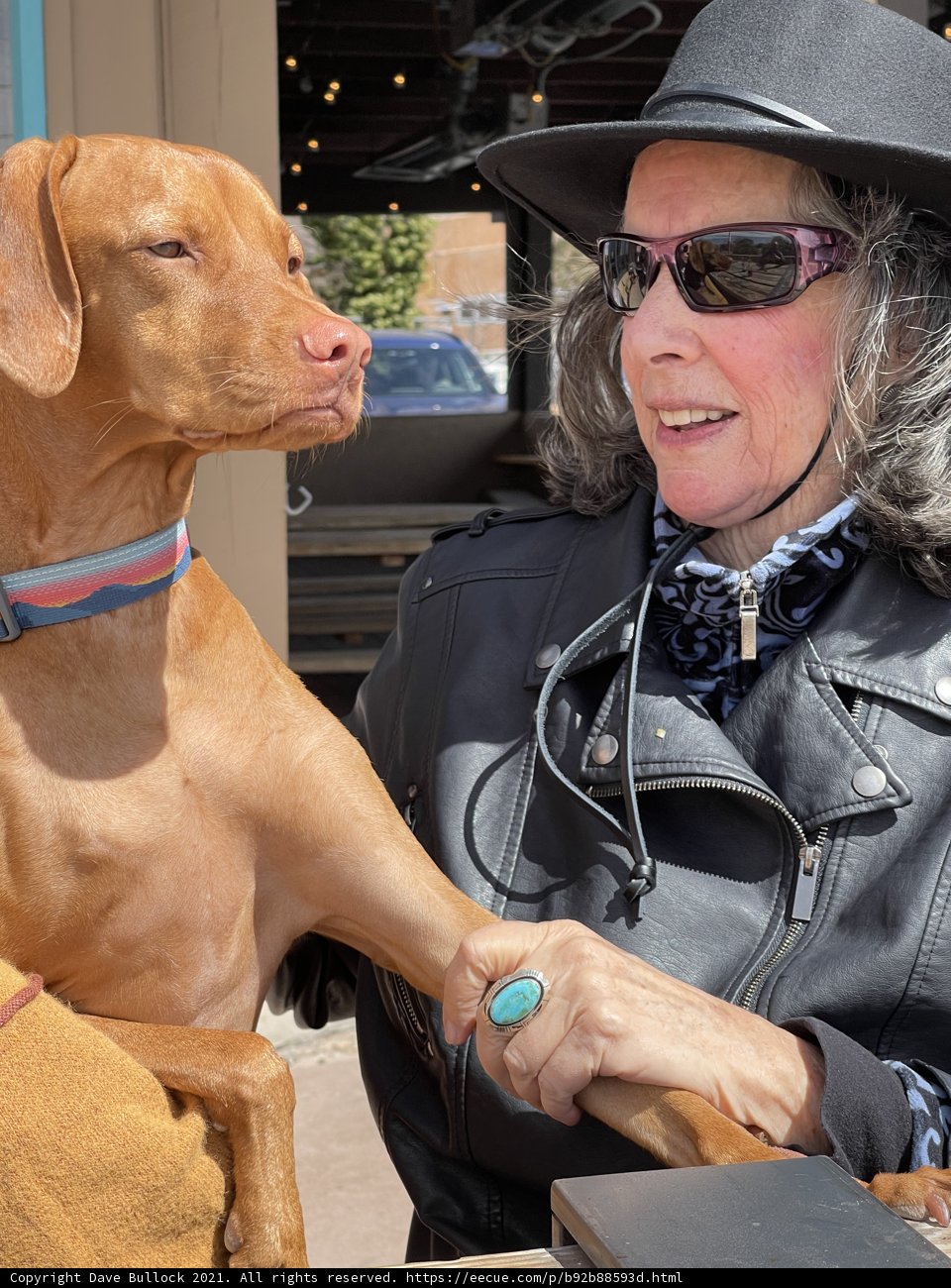 Rhoda B and her Vizsla enjoying a sunny day in Santa Fe