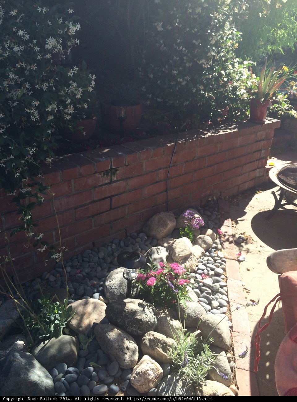 A Garden Wall Oasis
