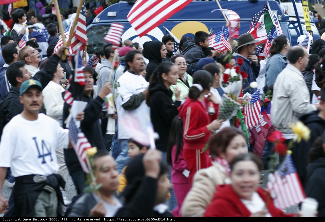 Patriotic Crowd