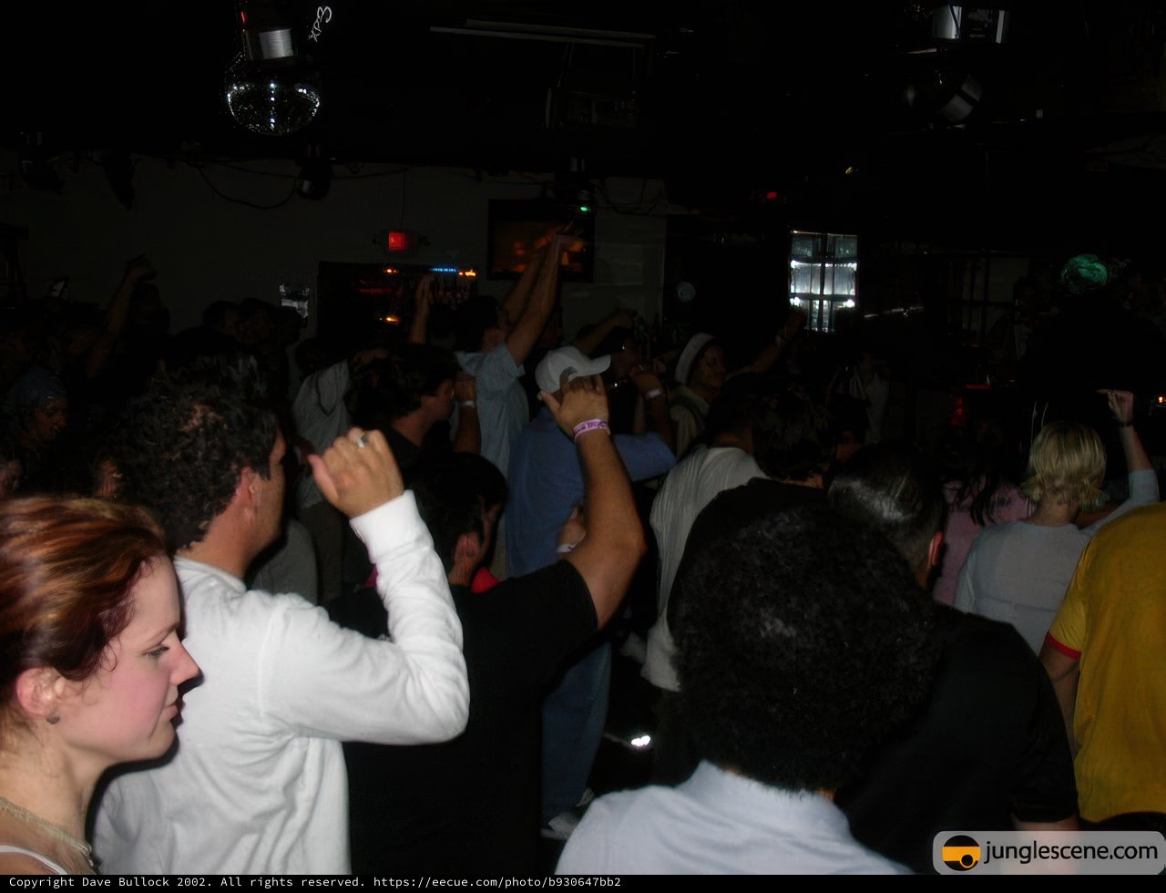 Partygoers get down at the disco
