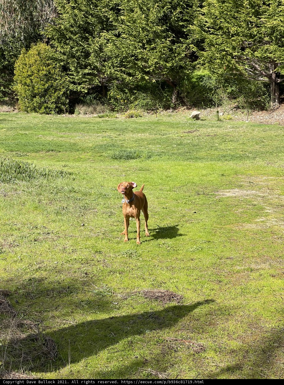 Sunny-Day Stroll